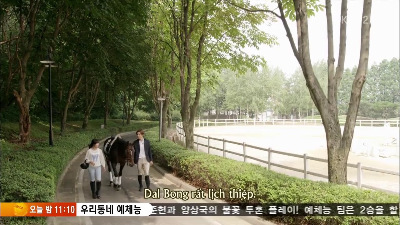 TL.E08.HD-002