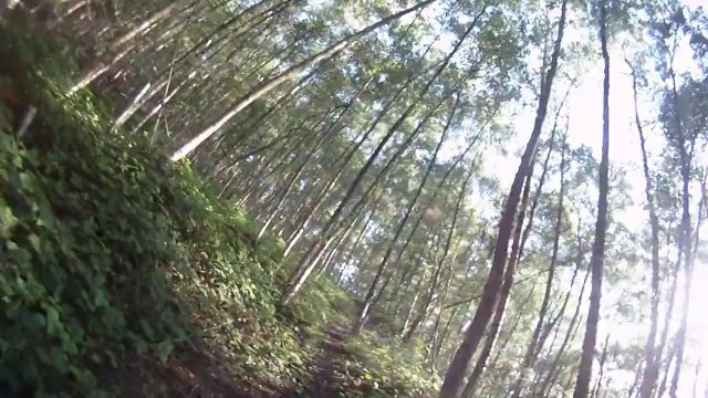 petite déscente du terril