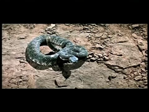 Sean Connery & Brigitte Bardot - SHALAKO! (trailer)