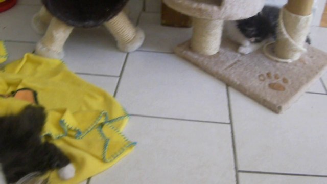 mes bébés deux mois