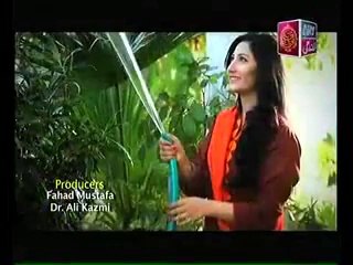 Bahu Begam Episode 46 Full Drama on Ary Zindagi "25 July 2014"