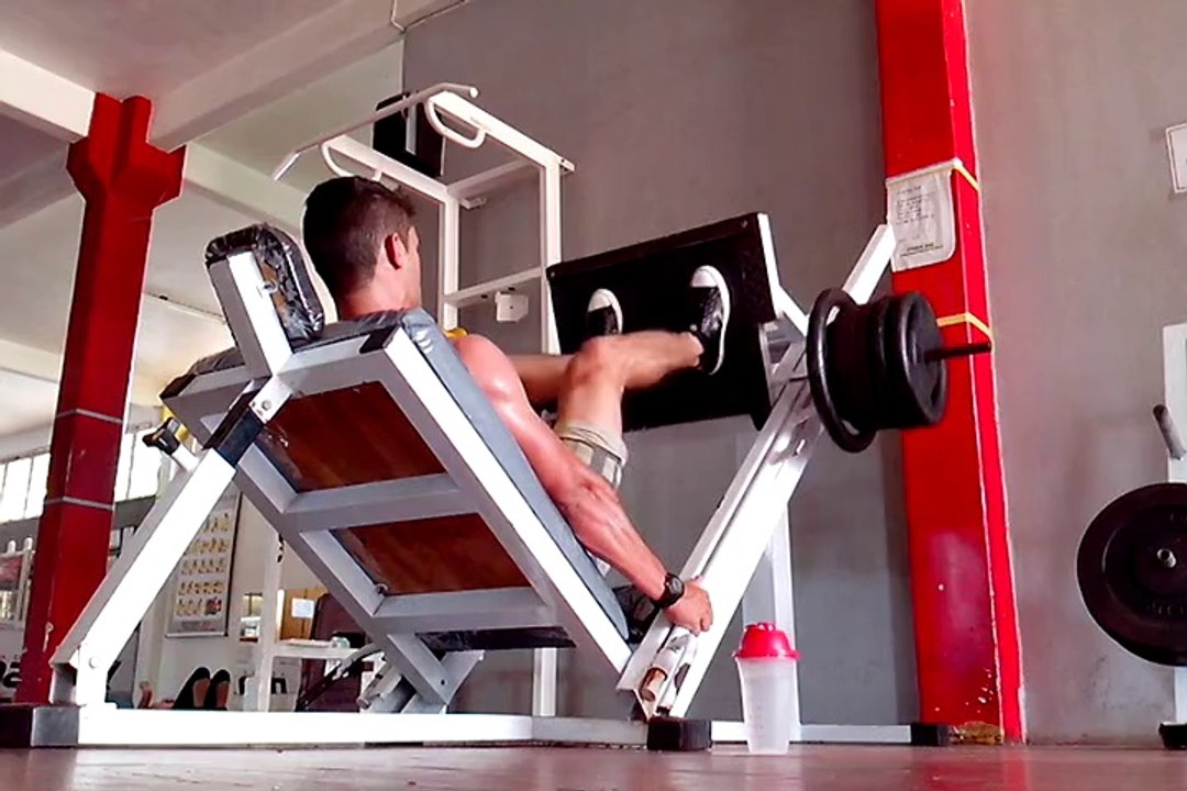 Gym Maxx performance