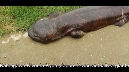 Mobile Capture Jul 10, 2014