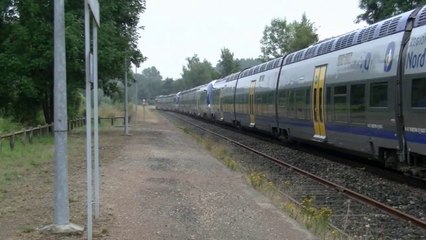 Ter Mer (B82 700) 3 UM de 4 caisses à Montreuil-sur-Mer