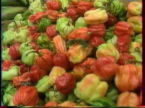 FR3 30 Mars 1990 Fin Thalassa,1 Pub,1 B.A.,1 Demi Semainier,Faut pas rêver