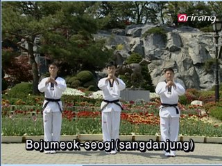 Taekwondo Step-by-Step Ep.20: Master Bojumeok-seogi & Tongmilgi Jumbi-seogi 🥋