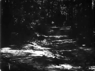 The Watermelon Patch (1905) - Wallace McCutcheon | Edwin S. Porter | Thomas Edison