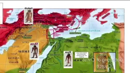 DBZ the han dynasty blood of the negro's amnesia in asean pacific pt one