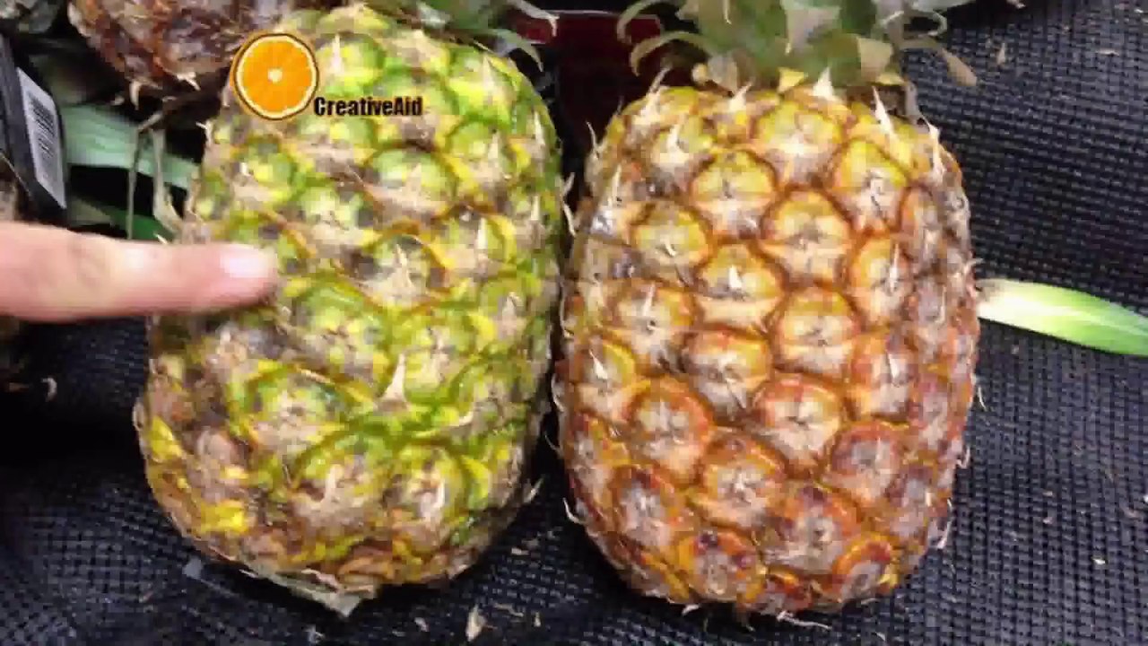 كيف نعرف الاناناس الطازج وغير الطازج وماهي فوائده
