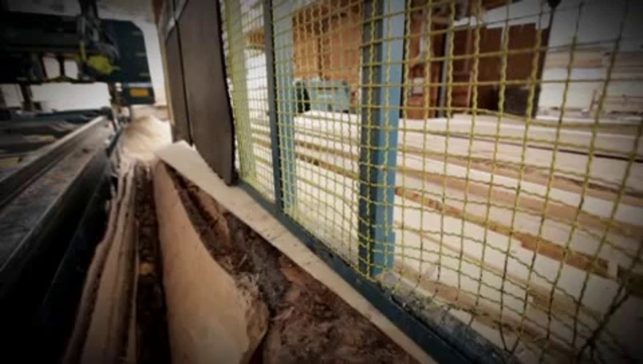 RESCH & 3 - Blockbandsäge / Sawmill / Scie à ruban ES 1050 PROFI