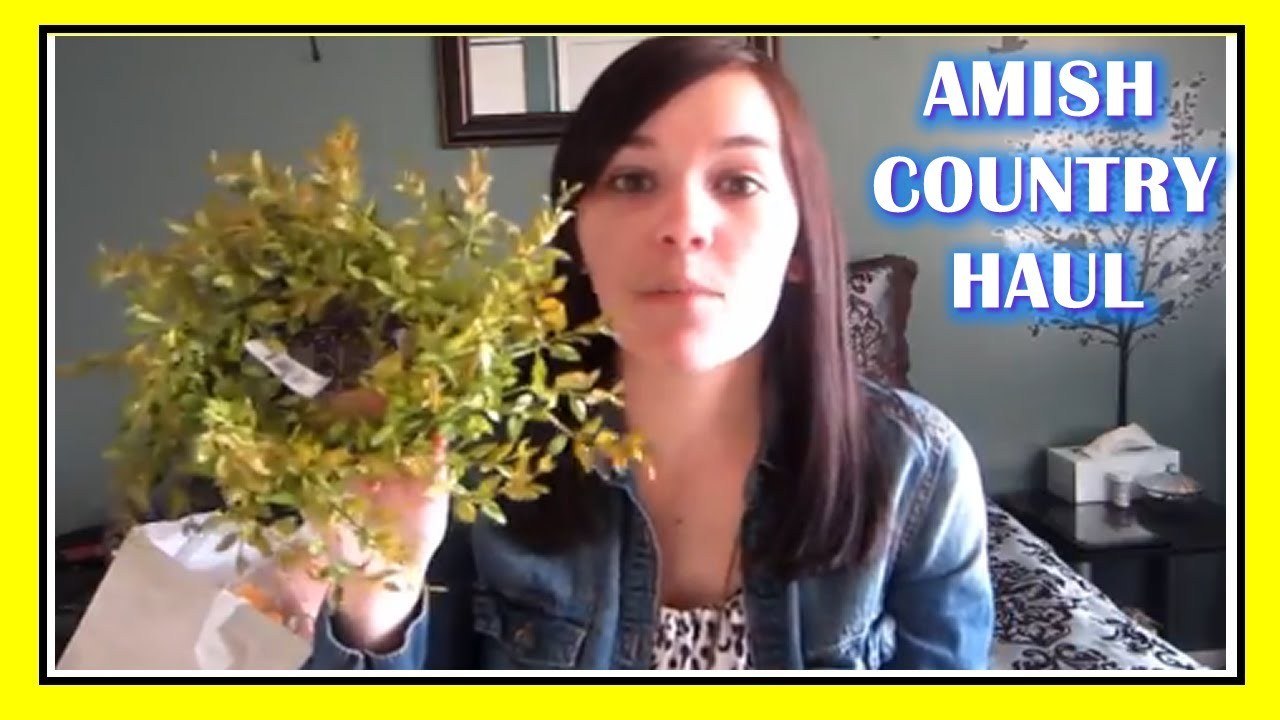 Amish Country Haul