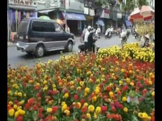 Liên Khúc Mùa Xuân (Thơm Hương Tết Nồng Sắc Xuân) D2
