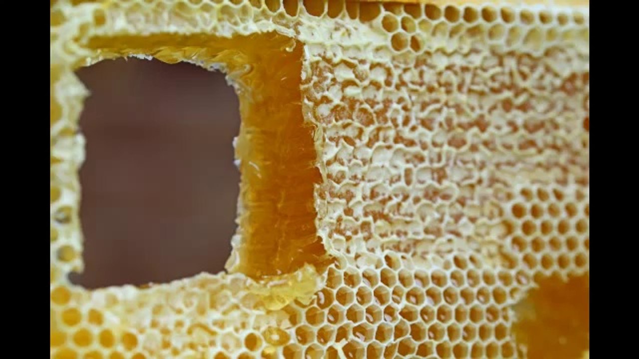 LED Lampen in der Schmerztherapie