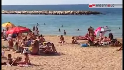 TG 24.07.14 Stop a mozziconi di sigaretta sulle spiagge
