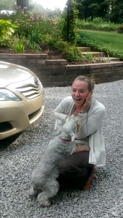 Chien tellement heureux de revoir son maître qu'il en tombe dans les pommes!