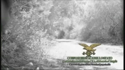 Foggia - Piromane filmato nel Parco Nazionale del Gargano (24.07.14)