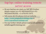 sap bpc online training remote server access