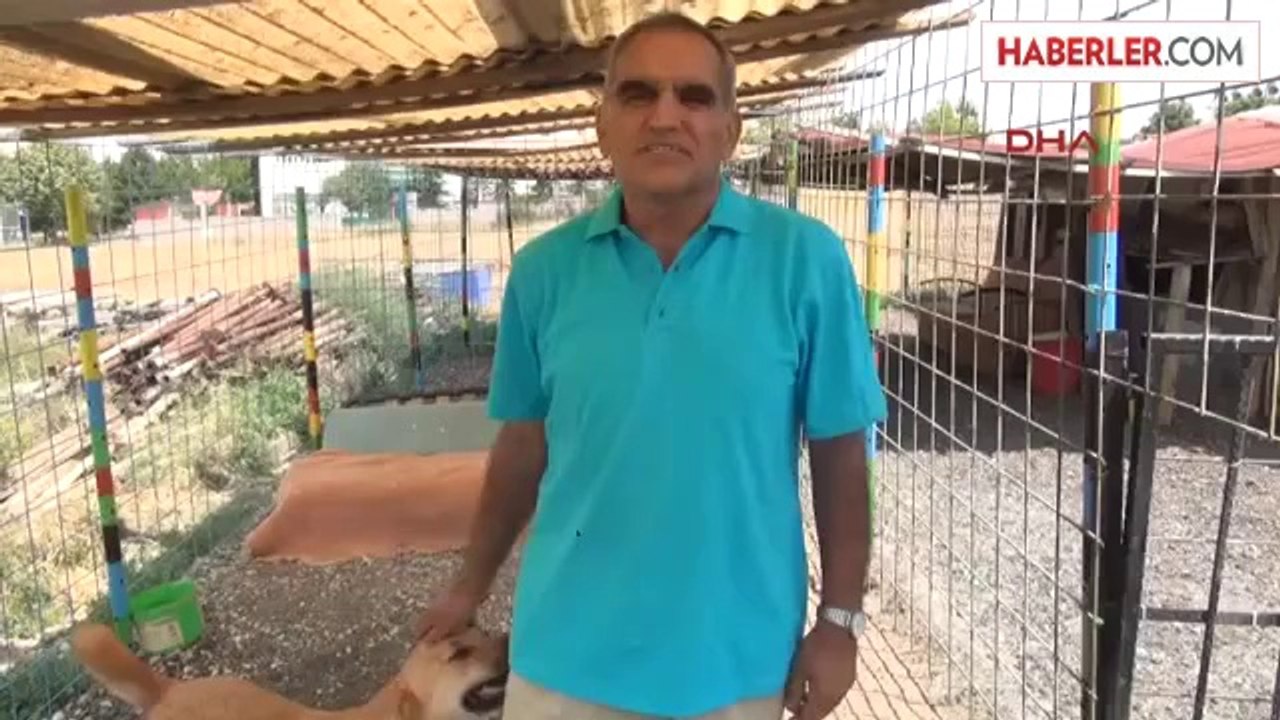 Emekli'nin Hayvan Sevgisi