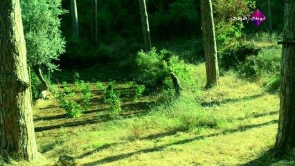 مسلسل حلاوة الروح الحلقة 26 HD