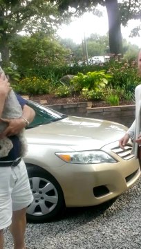 Un chien s'évanouit de joie en revoyant une femme