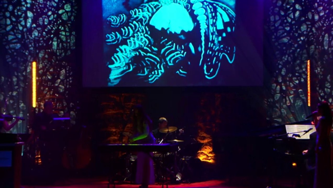 Monarques  performance Live Sand animation art bluto