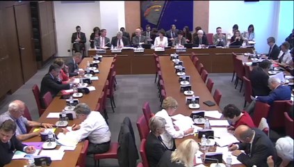 Intervention en Commission des Affaires sociales sur le projet de loi de financement de la sécurité sociale rectificative