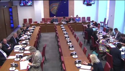 Intervention en Commission des Affaires sociales lors de l'audition de M. François Bourdillon (INVS)