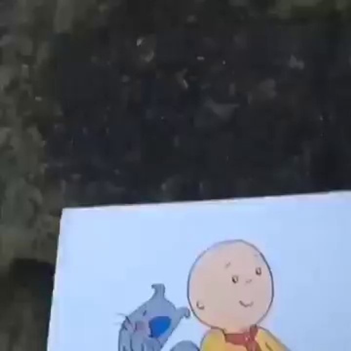 Cailou Vine