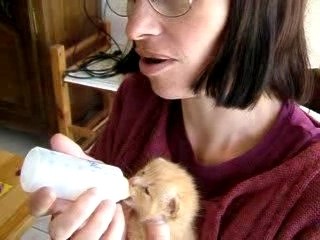 Sylvie fait téter le chaton