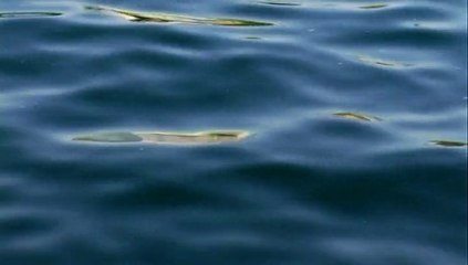 J'ai passé de très bonnes vacances