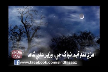 Ahri Nind Ayam Nibhage Ji - Syed Wazir Ali Shah  sindhi saaz