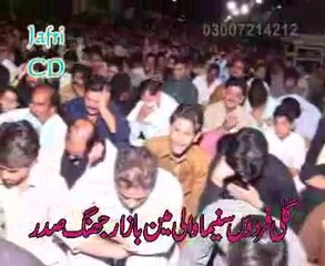 Zakir Rizwan Qiamat  majlis 3 jamadi al sani 2014 at Fasilabad