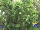 Geo Reports - 25 Jul 2014 - Karachi Rain