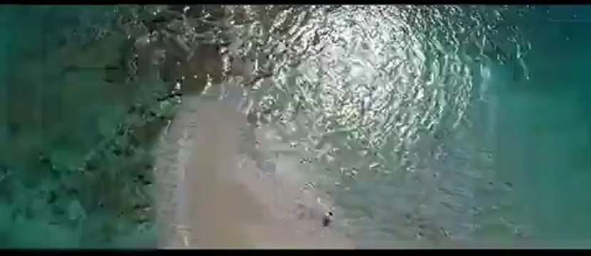 trim.5E989A2A-480E-43AD-9745-855806D859B1