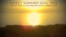 SWEET SUMMER SOUL 2014 - TGEE RECORDS 1st ANNIVERSARY DIGITAL COMPILATION