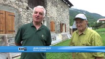 Hautes-Alpes: Témoignage de celui qui a vu le loup dans Briançon