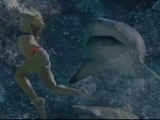 Shark attacks caught on tape .... Deadly shark kills human caught on tape ..