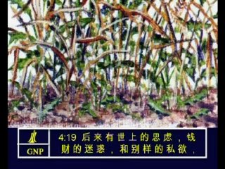 Mark 4 Chinese Picture Bible