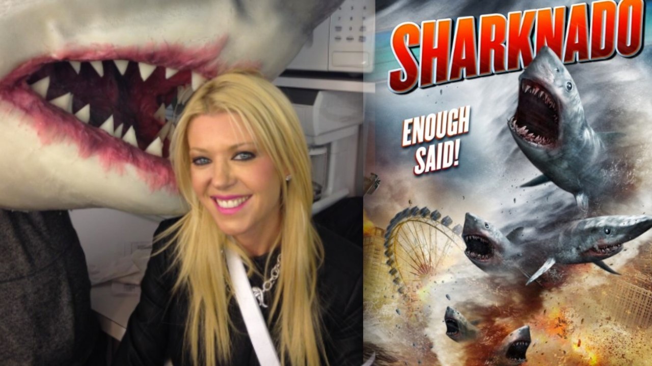 A Sharknado Could Happen to You…Says Expert Tara Reid
