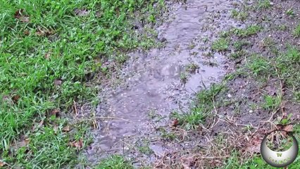 Ritmo da chuva by Beco da Arte