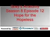 Grey’s Anatomy Season 8 Episode 12 – Hope for the Hopeless