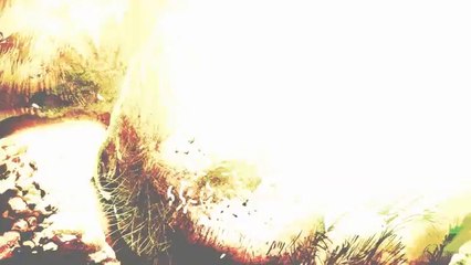 映画『アシュラ』予告編