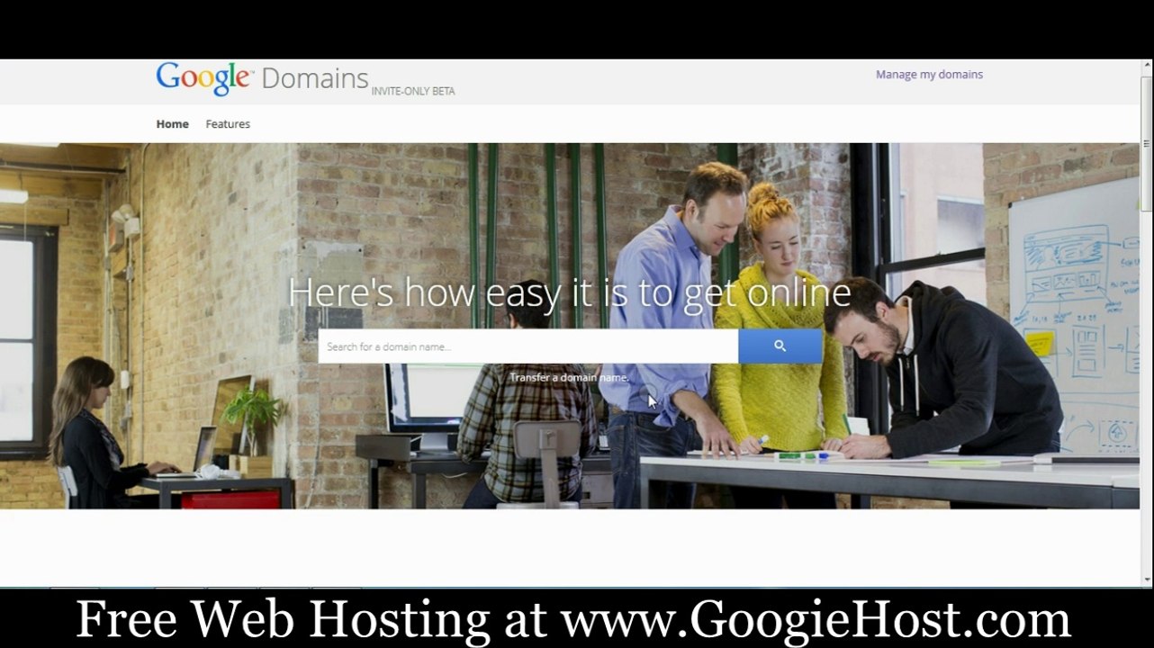 Google Domain Registration Service Beta