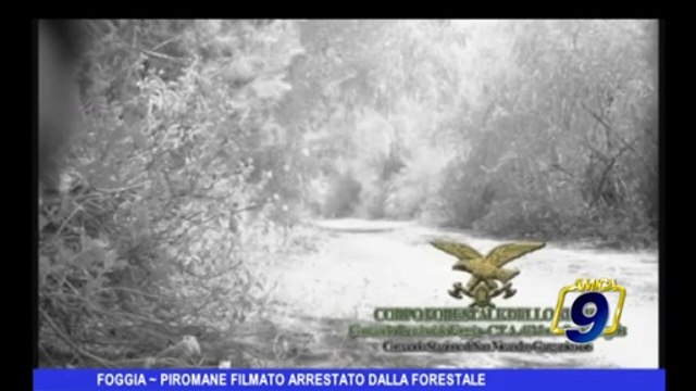 FOGGIA | Piromane filmato arrestato dalla Forestale