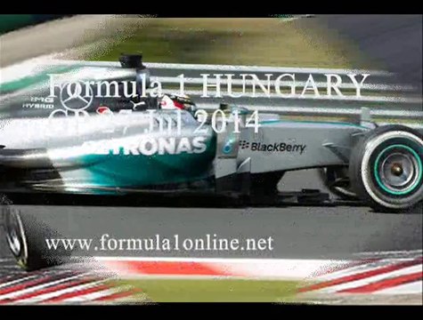 Formula 1 HUNGARY GP Race 27 Jul 2014 Full HD