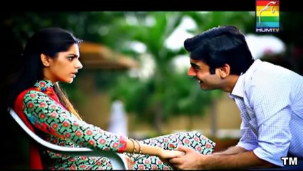 Zindagi Gulzar Hai - OST