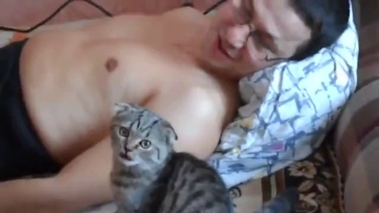 Sahibine sırnaşan kedi