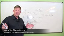 Why Veo Natural Have The Best Natural Supplements? | Natural Supplements pt. 4