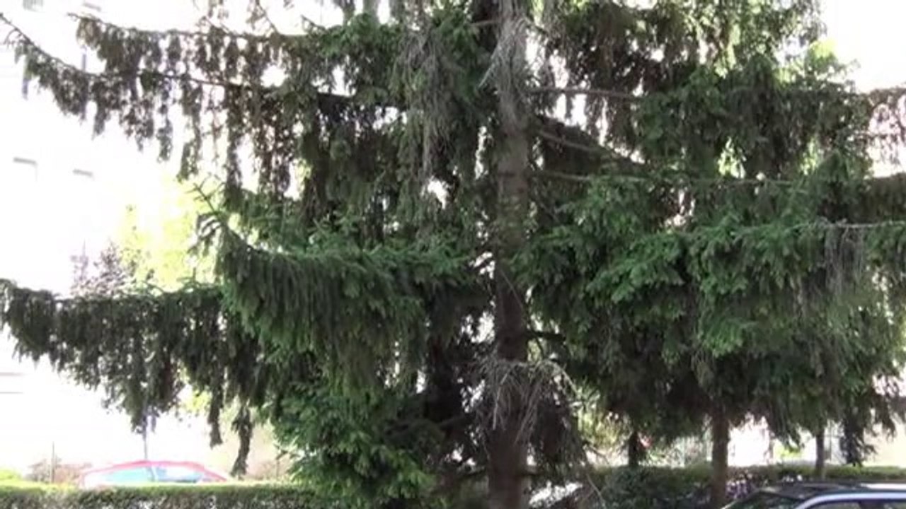 Dijon "proche Junot/Toison très beau T3 - Agence CARREZ immobilier