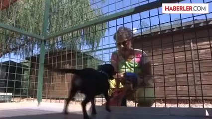 Sevimli dostlar da bayram tatiline çıkıyor -